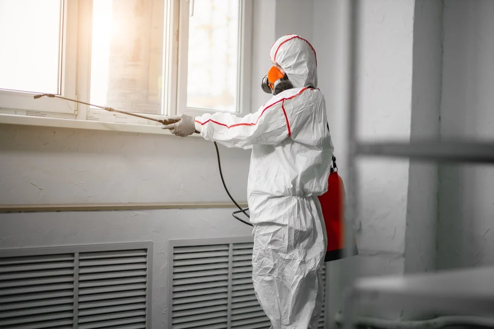 Professional mold remediation services in Rocky Hill, CT